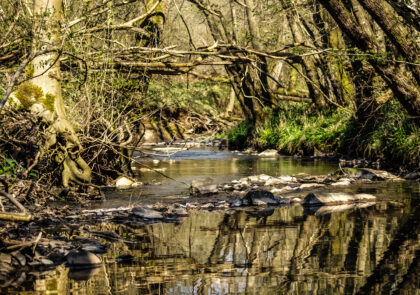 Kuvituskuva vesistöstä