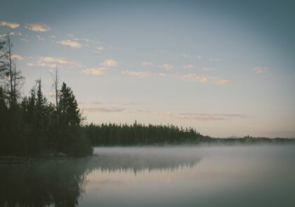 Kuvituskuva, jossa järvi ja metsää