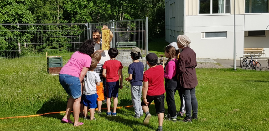 Children exploring a demonstration of bees from a beehive in Timonkatu in Lahti.