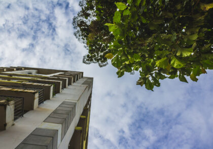 Kuvituskuva, jossa rakennus ja puu alhaalta ylöspäin kuvattuna