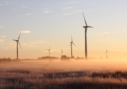 A group of wind turbines on a field.