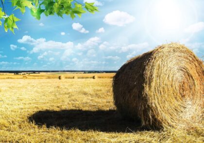 Kuvituskuvassa peltonäkymä, jossa on olkipaali.