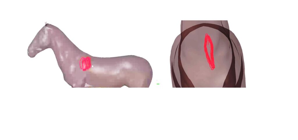 Image on the left shows the simulated side view red dot motion in 3d simulation software, the image on the right represents front view motion dot analysis.