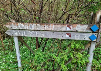 Artikkelikuvassa luontopolusta kertova opastekyltti.