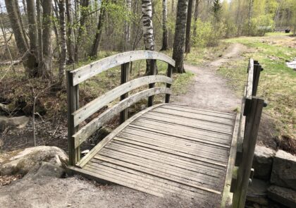 Landscape with wooden bridge, footpath, grass and trees.