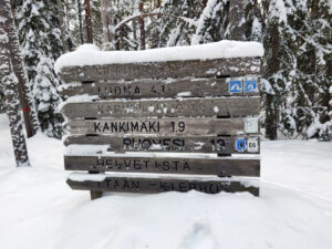 Snow-covered and partly worn-out wooden arrow-shaped signs.