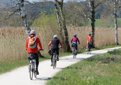 Kuvituskuvassa neljä ihmistä pyöräilee rantaa pitkin kulkevalla pyörätiellä, jonka toisella puolella on ruohikkoa ja toisella kaislikkoa ja koivuja.