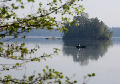 49500198803_e02c2e664d_k