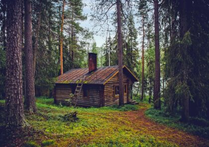landscape-tree-nature-forest-wilderness-house-1166920-pxhere.com