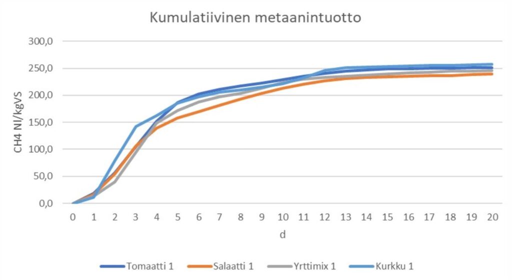 Viivadiagrammi, jossa näkyvät tomaatin, salaatin, yrttisekoituksen ja kurkun kumulatiivista metaanintuottoa kuvaavat käyrät. X-akselilla on 20 päivän ajanjakso ja y-akselilla metaanintuotto yksikössä Nl/kgVS eli normilitra per kilogramma orgaanista ainetta. Käyrä kohoaa ensin jyrkemmin, ja nousu tasoittuu 4–5 päivän kuluttua aloituksesta. Käyrät ovat muodoiltaan samankaltaiset ja kulkevat lopulta lähellä tasoa 250 Nl/kgVS.