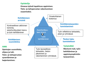 Kuvion keskeisin sisältö on avattu tekstissä.