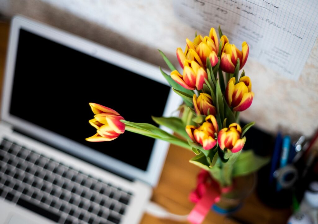 laptop-desk-plant-flower-tulip-spring-14420-pxhere.com