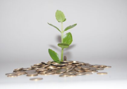 nature-branch-plant-leaf-flower-petal-910664-pxhere.com