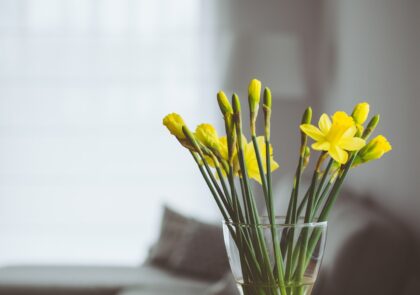 table-nature-blossom-plant-bunch-leaf-714866-pxhere.com