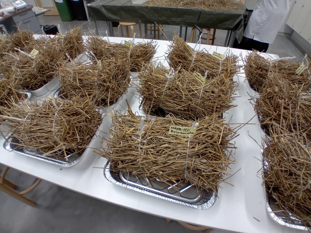A group of small straw bales with name tags placed on table.