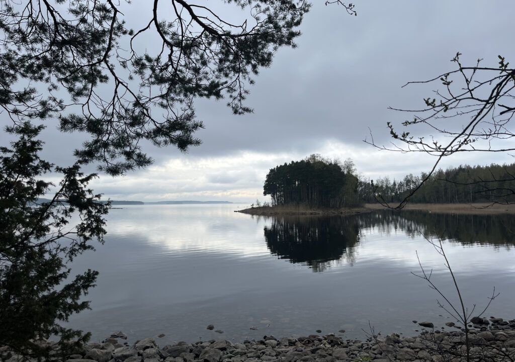 kuva3_Ahlstén_2025