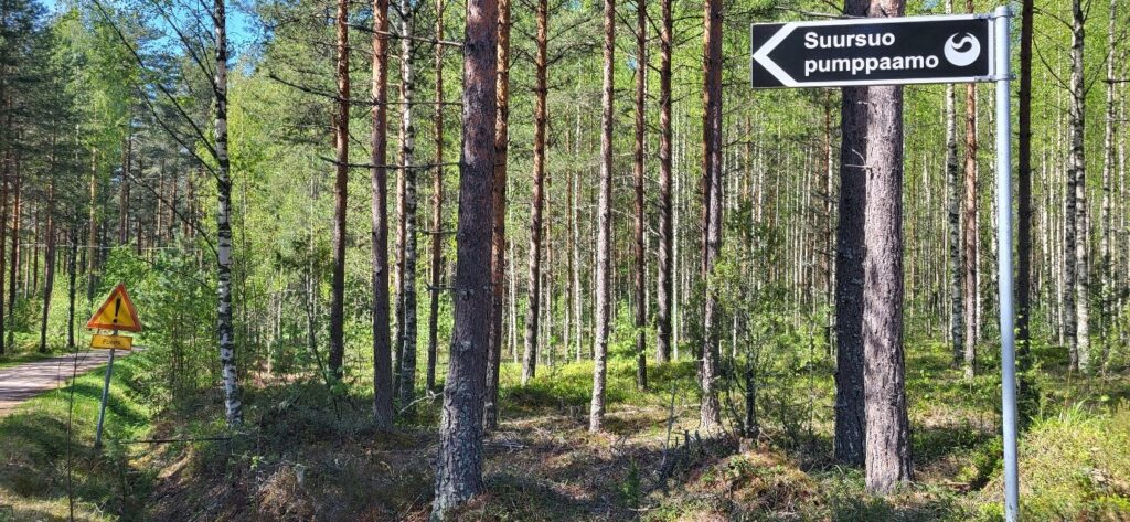 Tie Taipalsaaren turvetuotantoalueelle kulkee suon laidalla kasvavan mäntymetsän halki. Kuvassa näkyy myös tienviitta, joka osoittaa alueen veden pumppaamolle. 