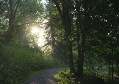 Janakkalan Myllyoja 2020