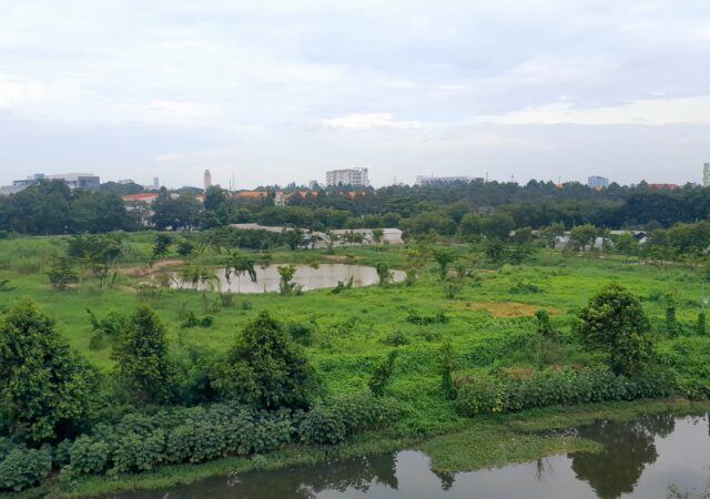 A very lush green park within a partly built up area in Vietnam. There is a pond in the foreground and another further in the background.