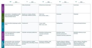 Ohjelmarunko lukujärjestyksen muodossa. Sisältö avattu leipätekstissä.