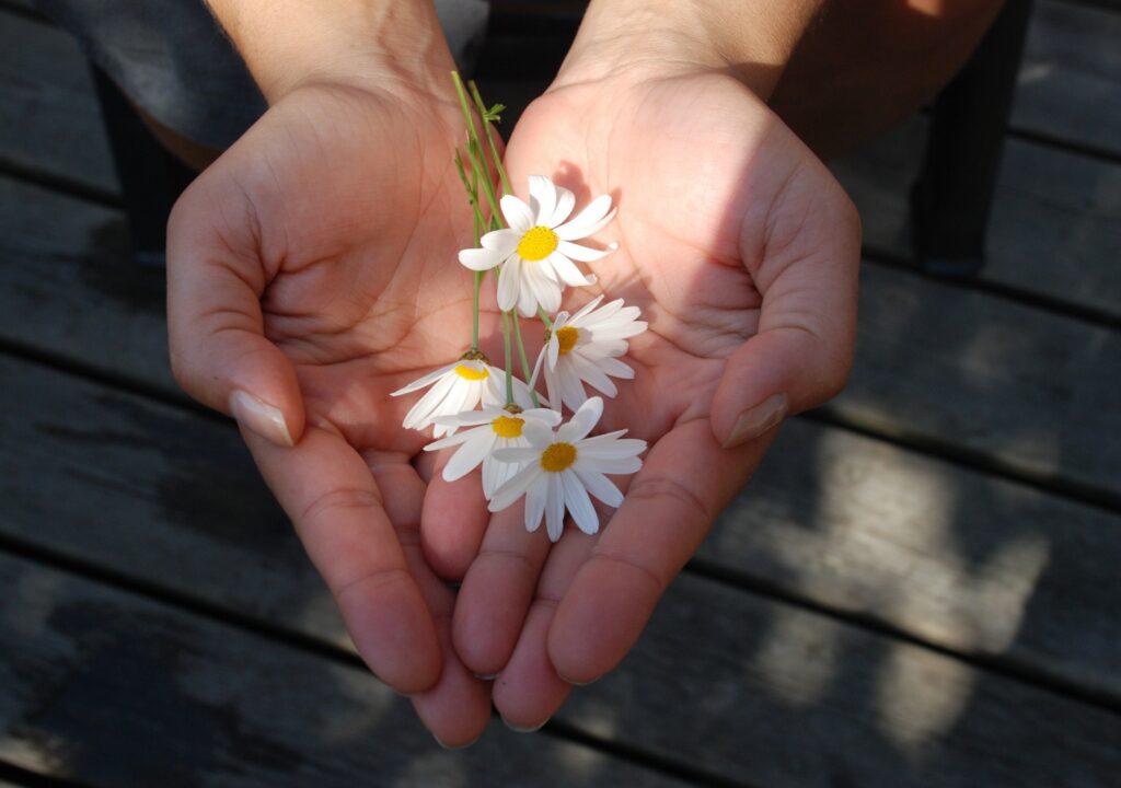 hand-flower-petal-leg-gift-finger-1152407-pxhere.com