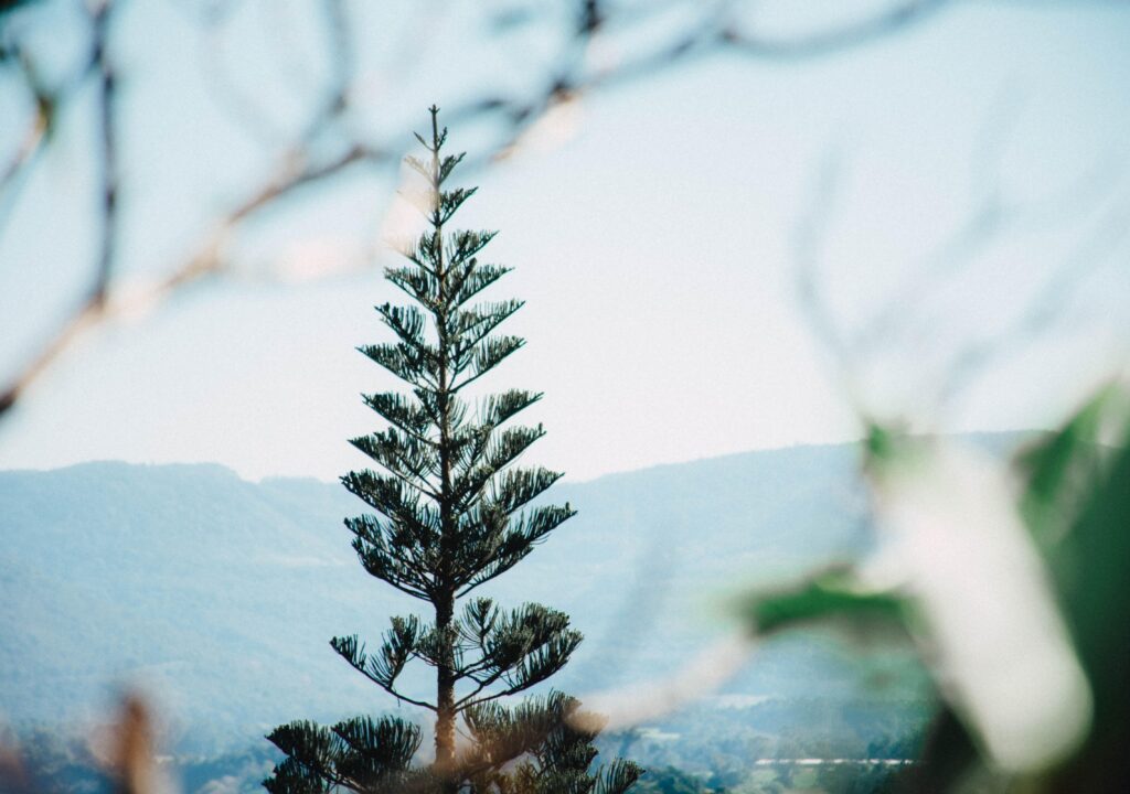 lucasgeorgewendt-river-5357890