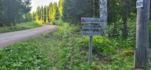 Hiekkatie, minkä varressa viitat luontopoluille.