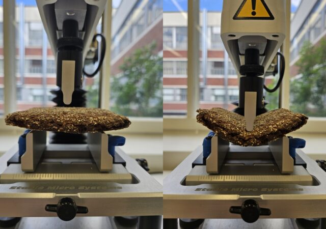 LAB RDI Sammalisto Kuva 1